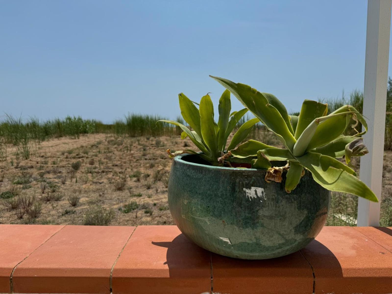 Fin Fiori Villa Menfi Buitenkant foto