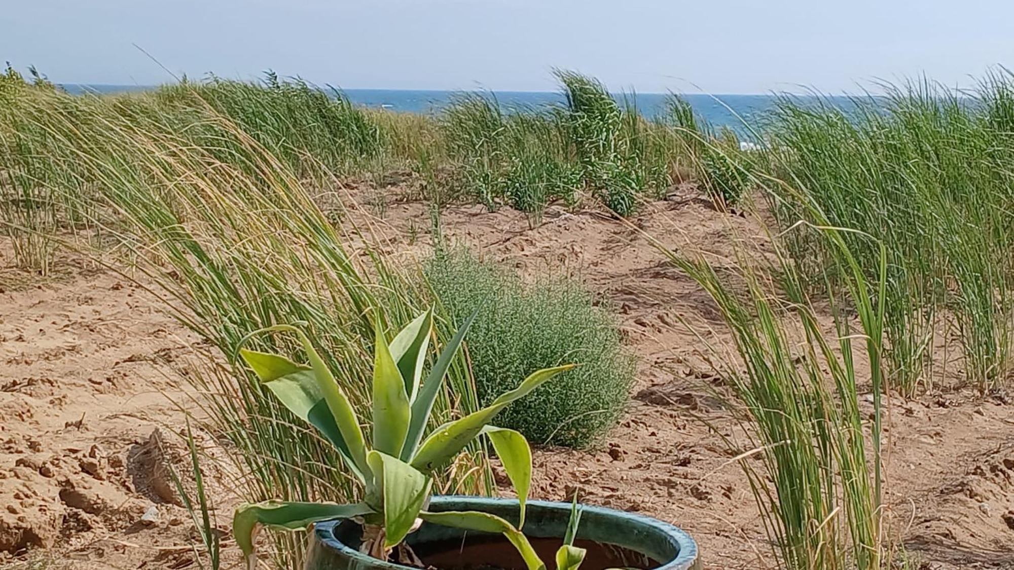 Fin Fiori Villa Menfi Buitenkant foto