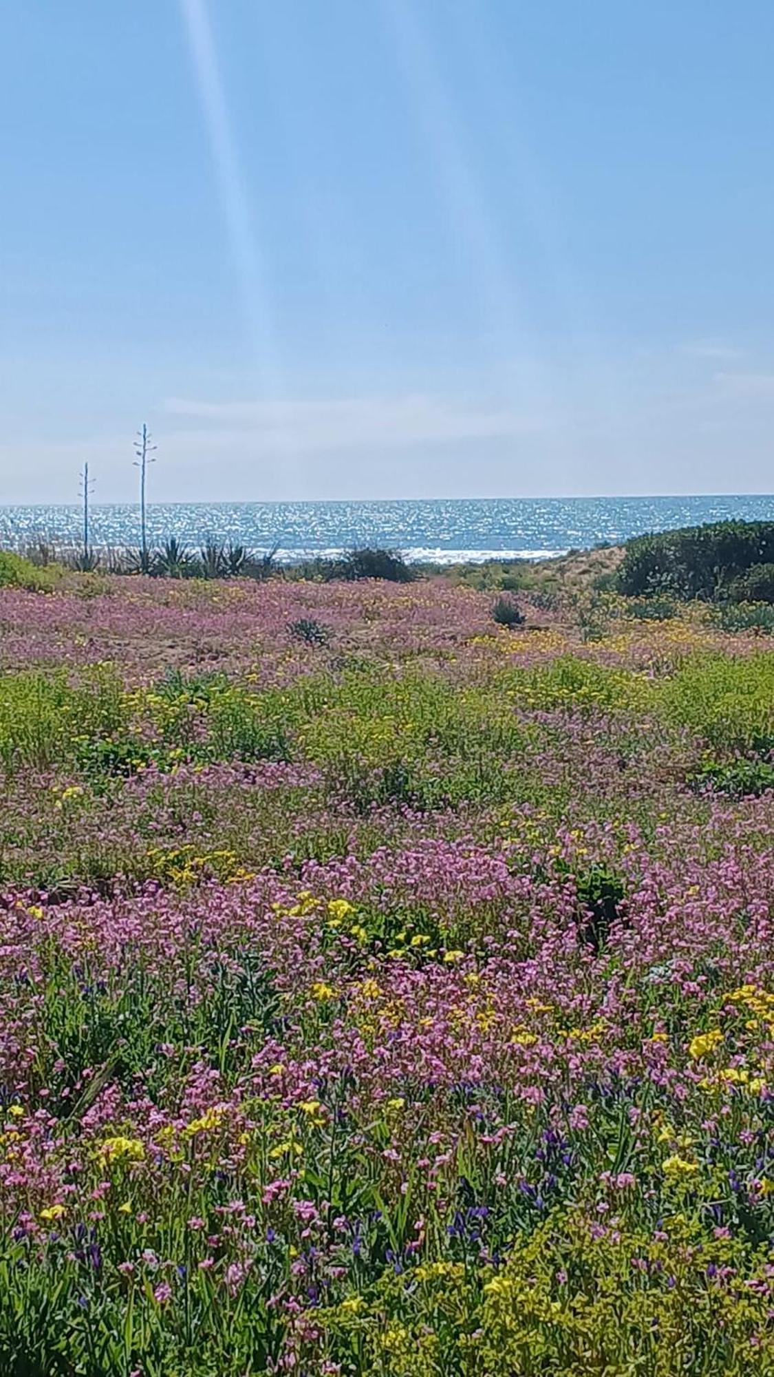 Fin Fiori Villa Menfi Buitenkant foto